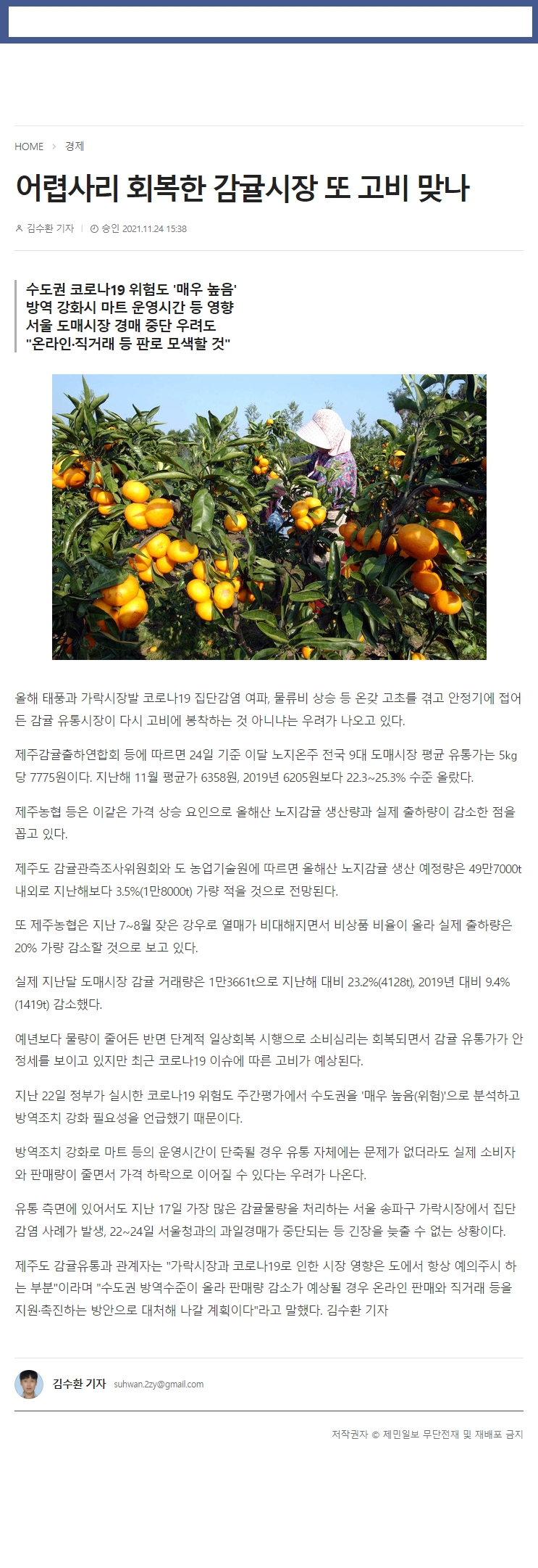어렵사리 회복한 감귤시장 또 고비 맞나