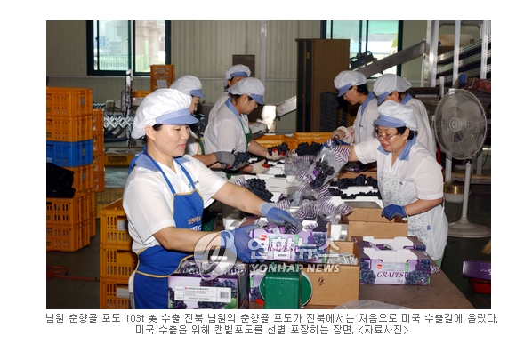 FTA를 이겨낸 남원 포도ㆍ제주 감귤