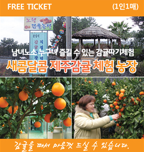 ‘제주 감귤 따기 체험’ 행사 오는 10일 시작
