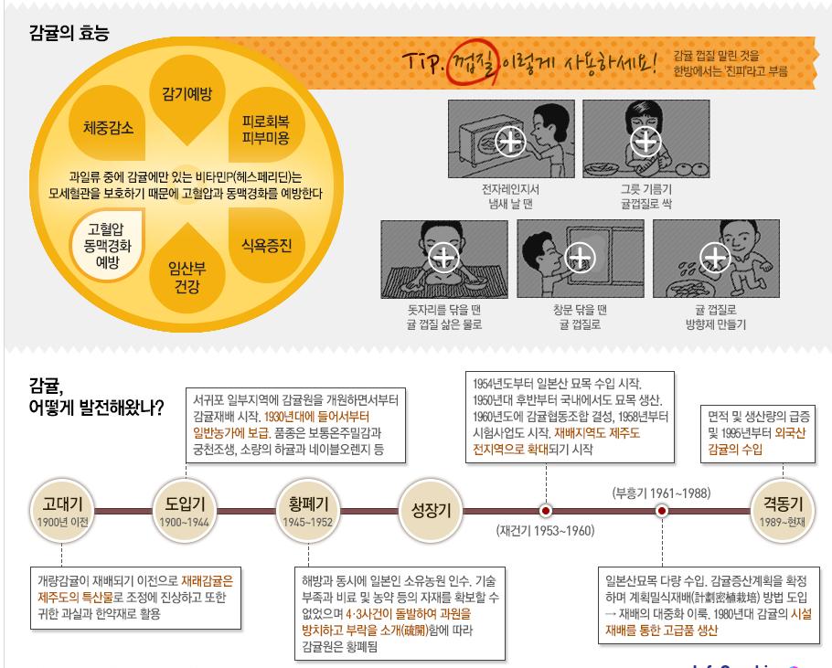 감귤의 ‘출생의 비밀’
