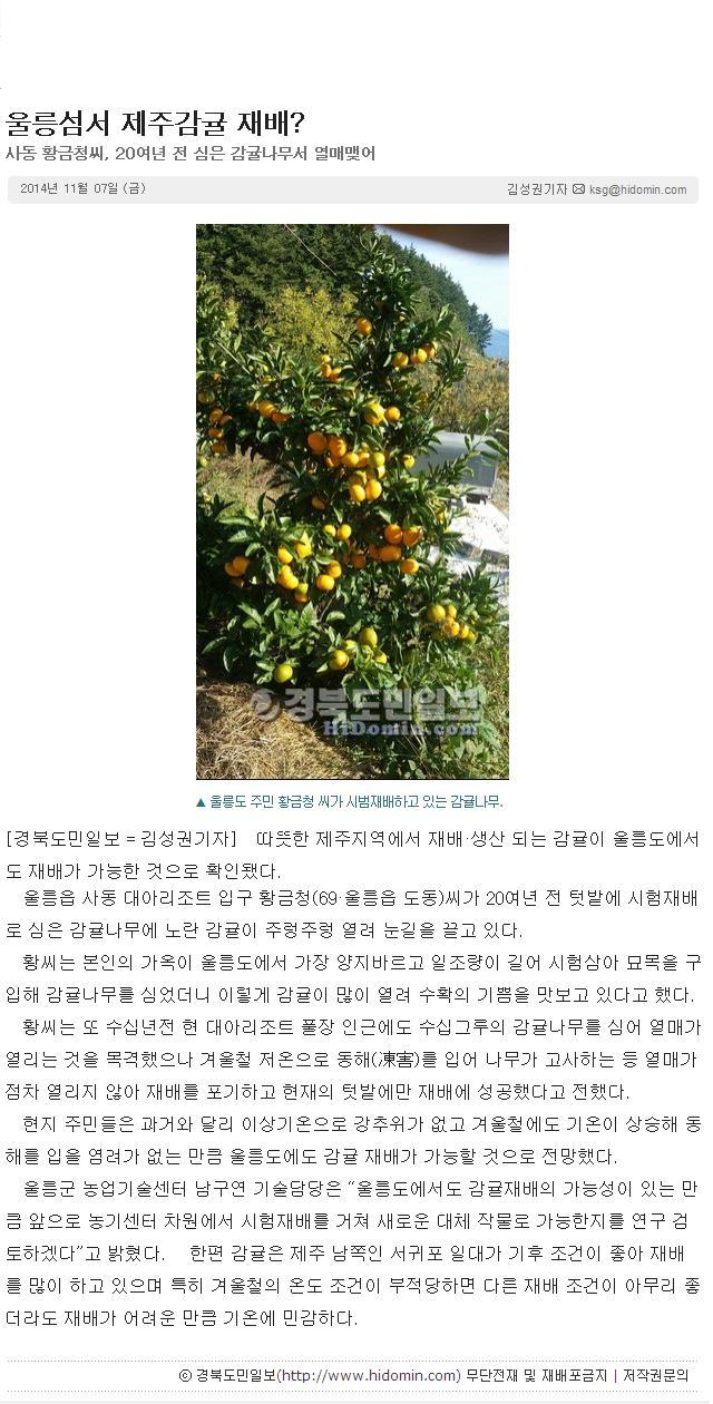 울릉섬서 제주감귤 재배?