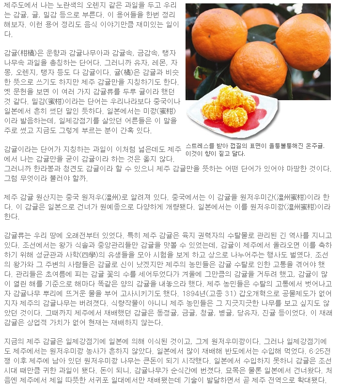 감귤? 온주귤? 못생긴 것이 맛 좋아