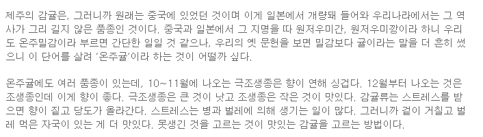 감귤? 온주귤? 못생긴 것이 맛 좋아
