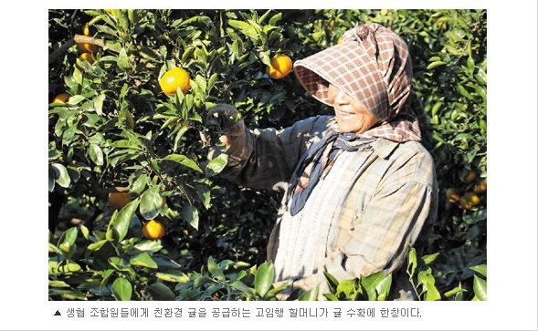 귤 껍질까지 안심하고 먹을 수 있는 믿음이 '생협'의 경쟁력