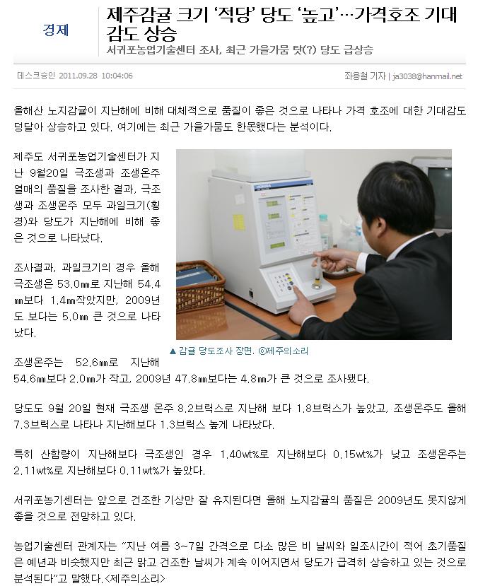 제주감귤 크기 ‘적당’ 당도 ‘높고’…가격호조 기대감도 상승