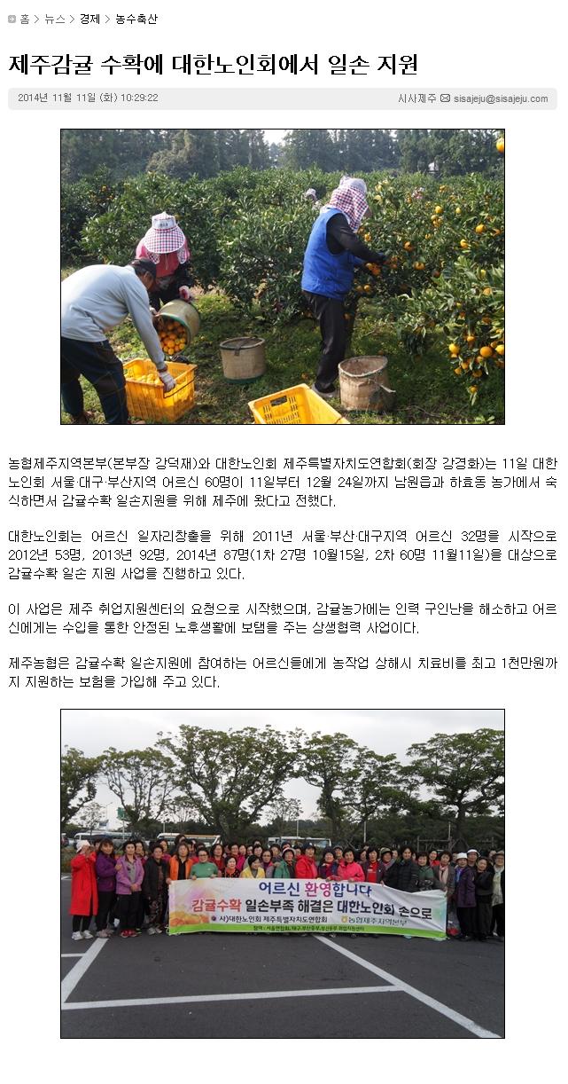 제주감귤수확에 대한노인회