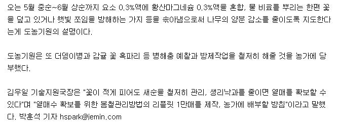 올해산 노지감귤 생산량 감소 전망