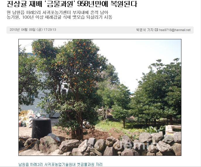 진상귤 재배 '금물과원' 958년만에 복원된다
