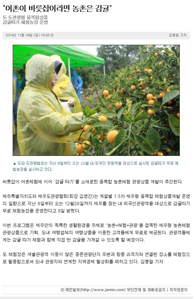 도,도관광협 융복합상품 감귤따기 제험농장 운영