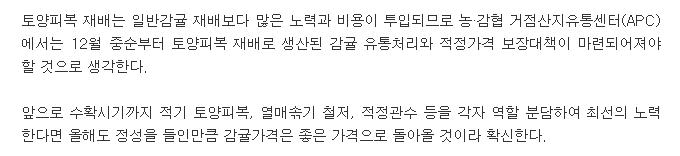 고당도 감귤 생산을 위한 토양피복