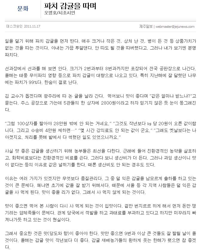 파치 감귤을 따며