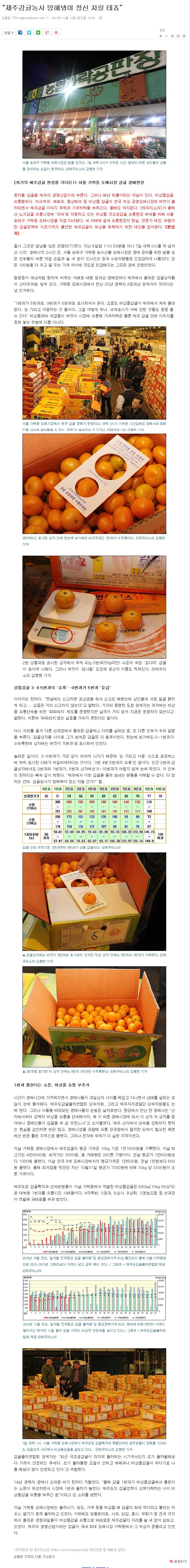 "제주감귤농사 망해봐야 정신 차릴테죠"