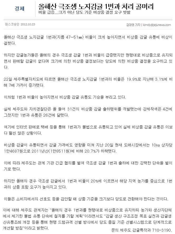 올해산 극조생 노지감귤 1번과 처리 골머리