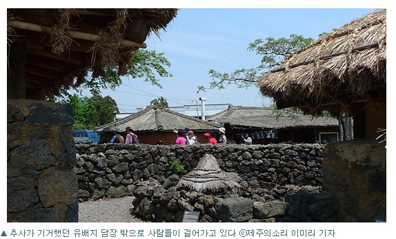 추사와 ‘인연의 길’을 걷다