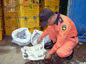 <b>“카바이드로 감귤 익히지 마세요”</b>