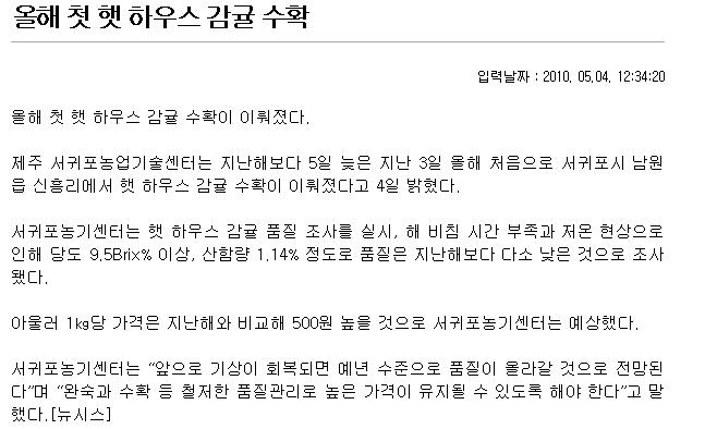 올해 첫 햇 하우스감귤 수확