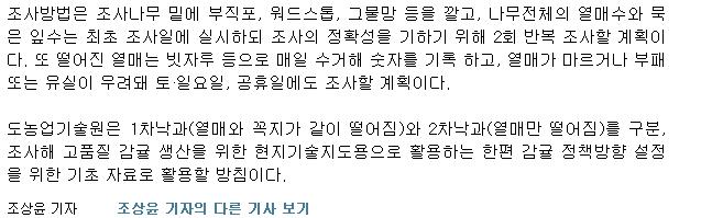 노지감귤 생리낙과 체계적 관리