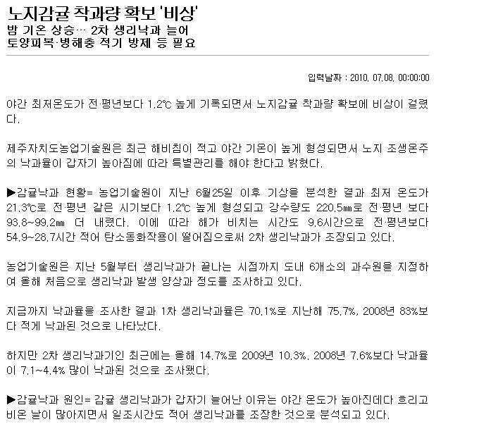노지감귤 착과량 확보 '비상'