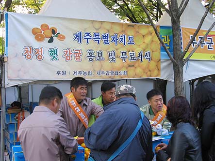 <b>"청정 햇감귤 맛 좋다"</b>