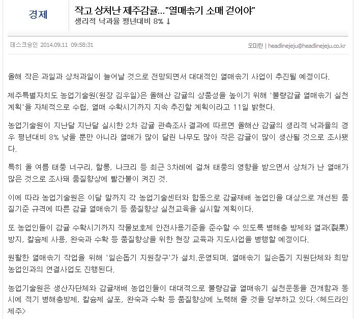 작고 상처난 제주감귤..."열매솎기 소매 걷어야"