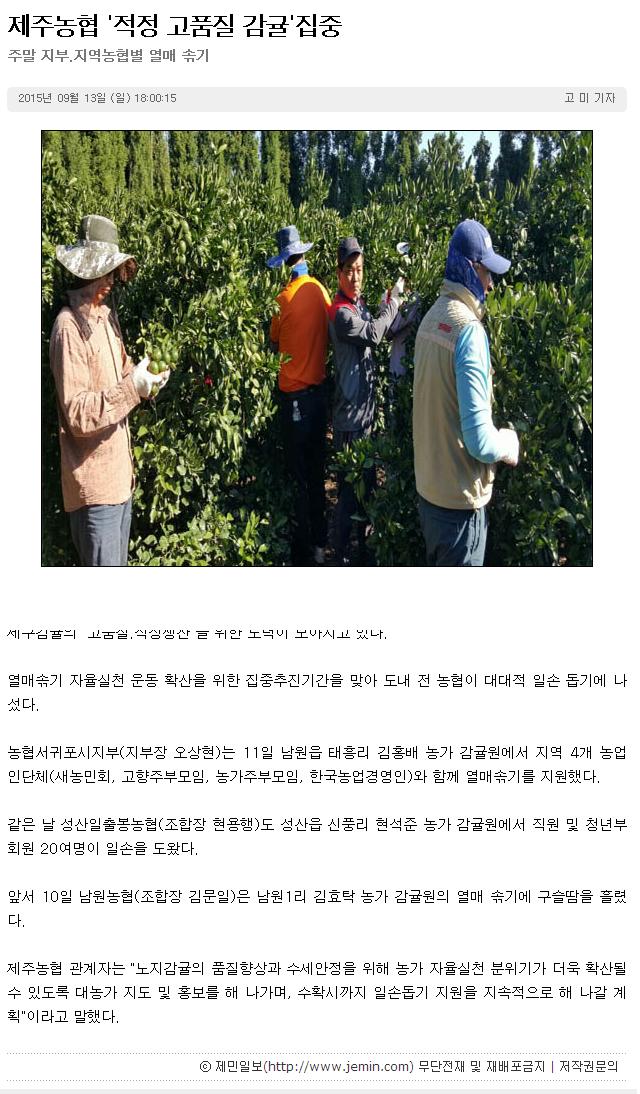 제주농협"적정 고품질 감귤"집중