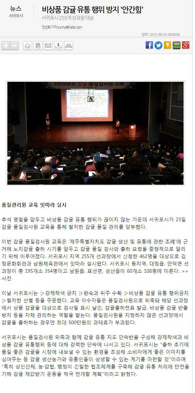비상품 감귤 유통 행위 방지 "안간힘"