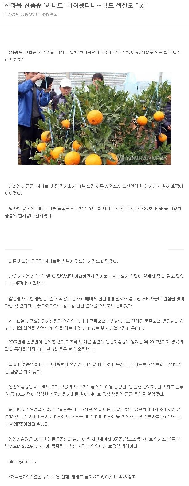 한라봉 신품종"써니트" 먹어봤더니... 맛도 색깔도 "굿"