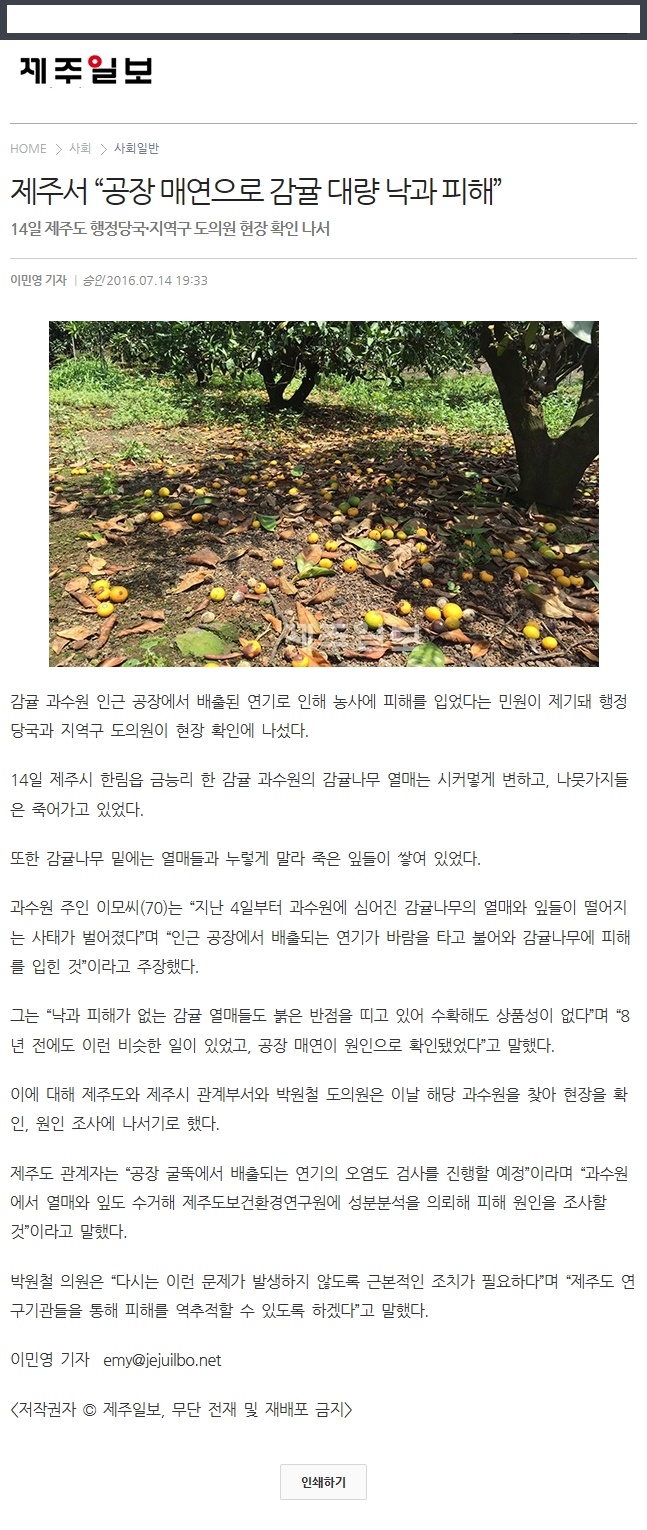 "공장매연으로 감귤 대량 낙과 피해"