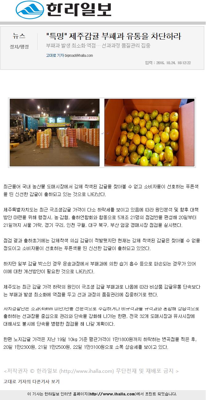 "특명"제주감귤 부패과 유통을 차단하라