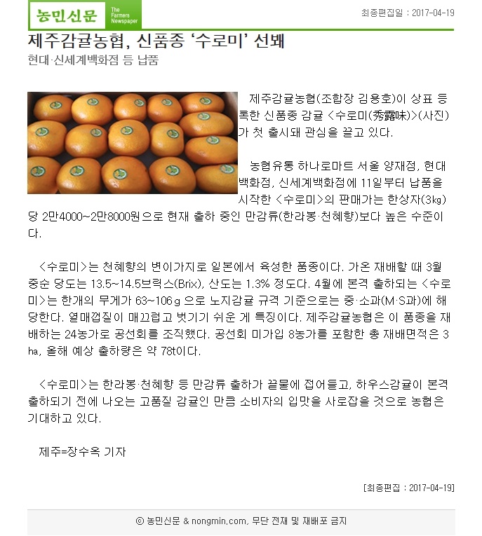 제주감귤농협,신품종 "수로미" 선봬..