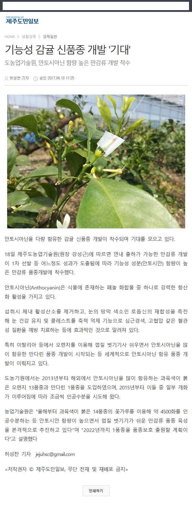 기능성 감귤 신품종 개발 "기대"