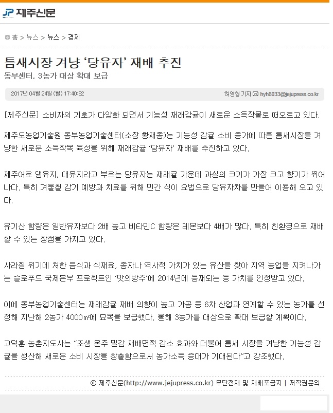 틈새시장 겨냥 "당유자" 재배 추진