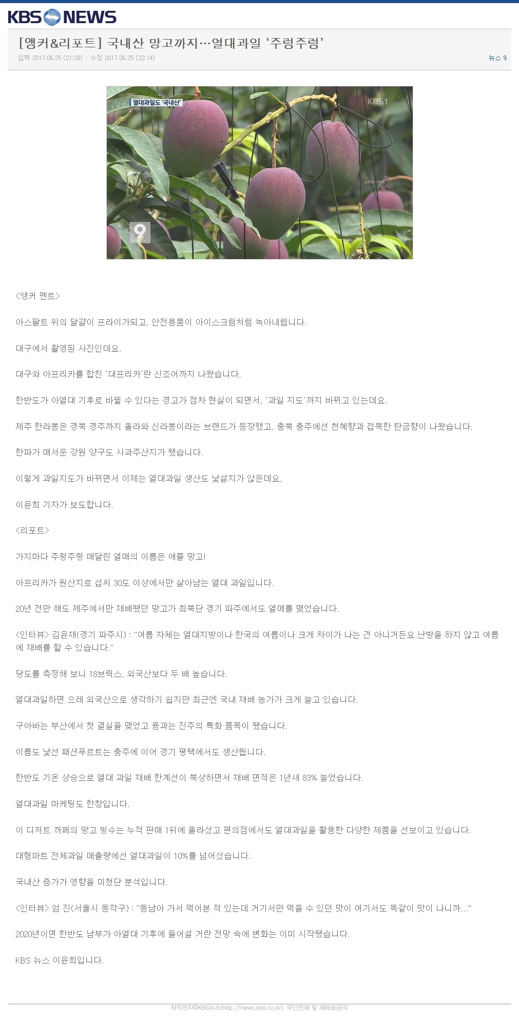 국내산 망고까지... 열대과일 "주렁주렁"