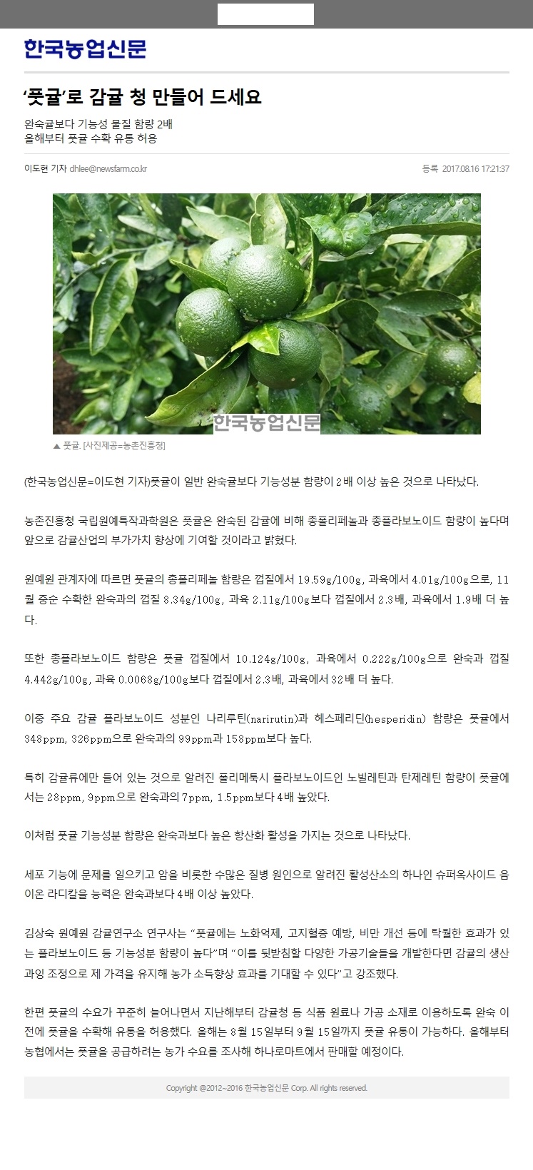 "풋귤"로 감귤 청 만들어 드세요