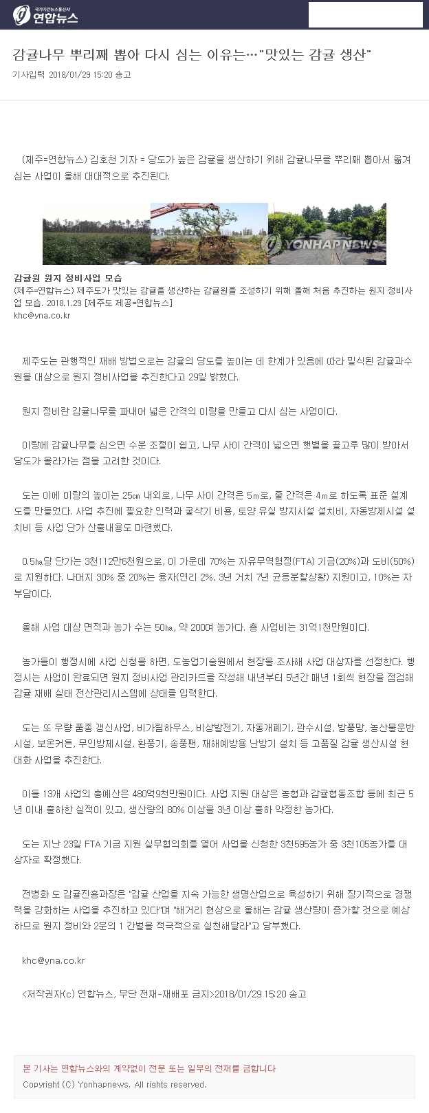 감귤나무 뿌리째 뽑아 다시 심는 이유는... "맛있는 감귤 생산"