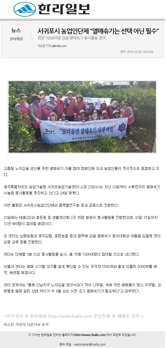 서귀포시 농업인단체 "열매솎기는 선택 아닌 필수"