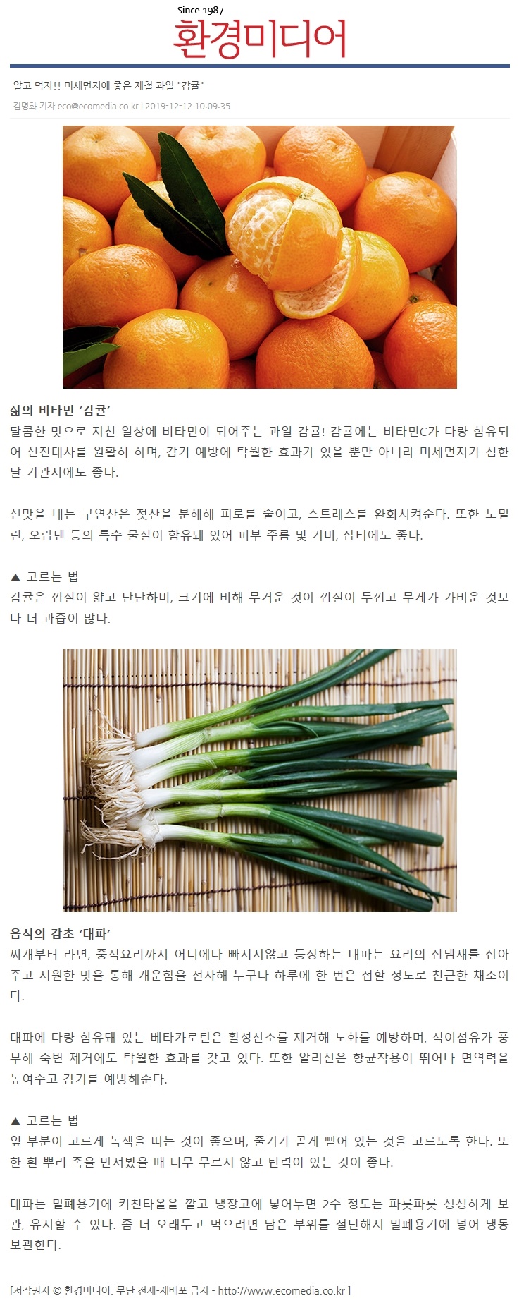 [알고먹자!! 미세먼지에 좋은 제철과일 "감귤"