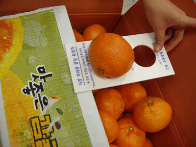 [보도]<font color=blue>인터넷쇼핑몰을 통한  비상품 감귤 유통 행위 적발</font>
