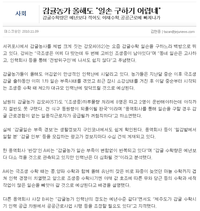 감귤농가 올해도 "일손 구하기 어렵네"