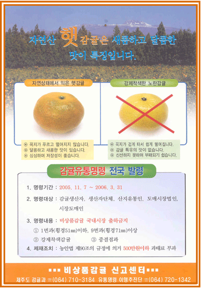 <font color='red'>2005년 감귤유통명령 전국 발령</font>
