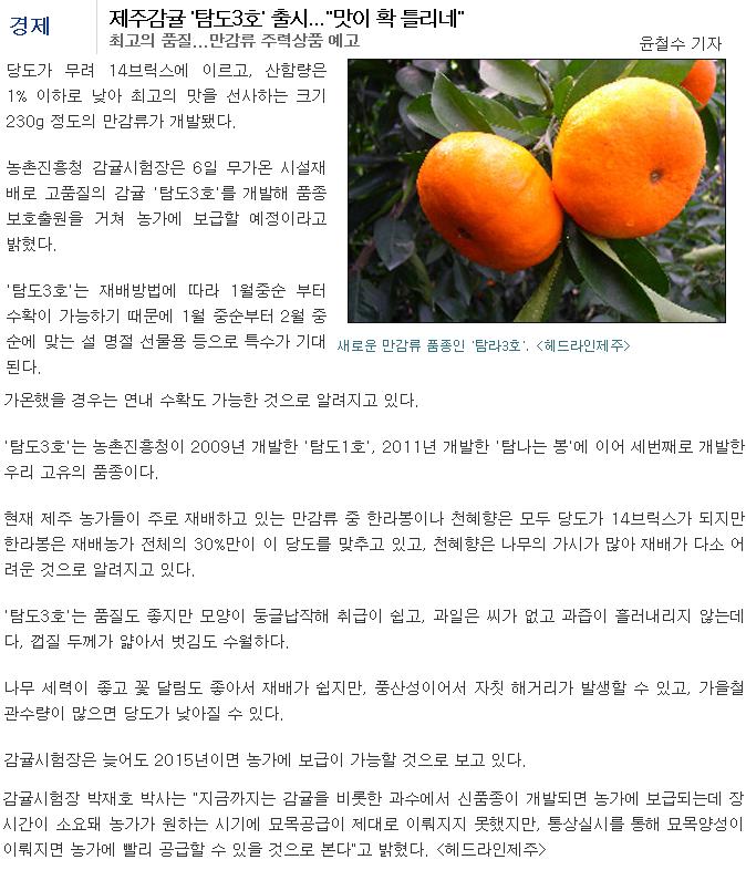 제주감귤 '탐도3호' 출시 ..."맛이 확 틀리네"