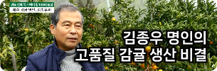 이미지썸네일