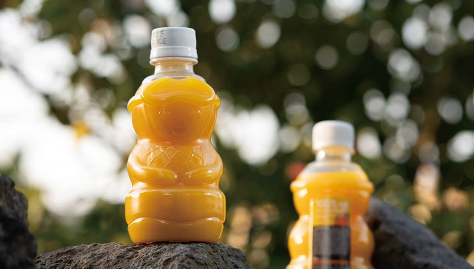 제주랑 한라봉감귤주스