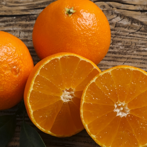 황금향(베니마돈나)